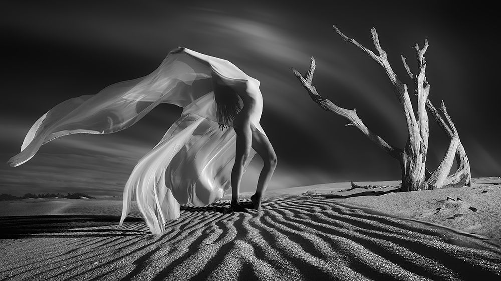 A JOURNEY INTO THE MOON (Part 1) art print by Paolo Lazzarotti for $57.95 CAD