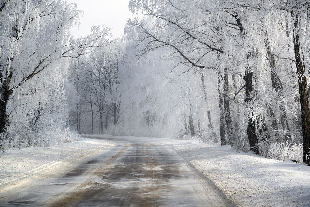 Winter Road art print by Dmitry Doronin for $57.95 CAD