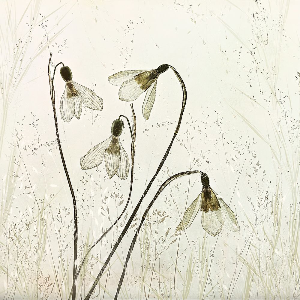 Springtime! art print by Nel Talen for $57.95 CAD