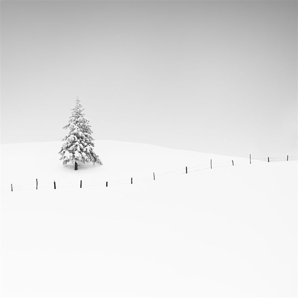 Placeholder art print by Alexej Schulz for $57.95 CAD