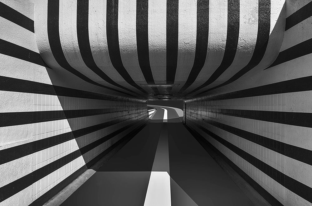 Follow the lines art print by Greetje van Son for $57.95 CAD