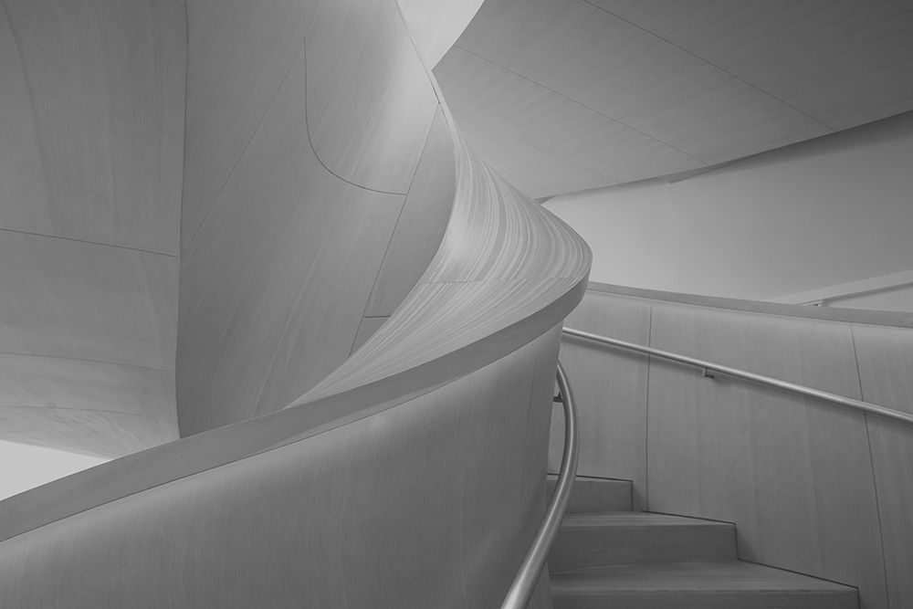 Study of Lines and Curves art print by Dr. Roland Shainidze for $57.95 CAD