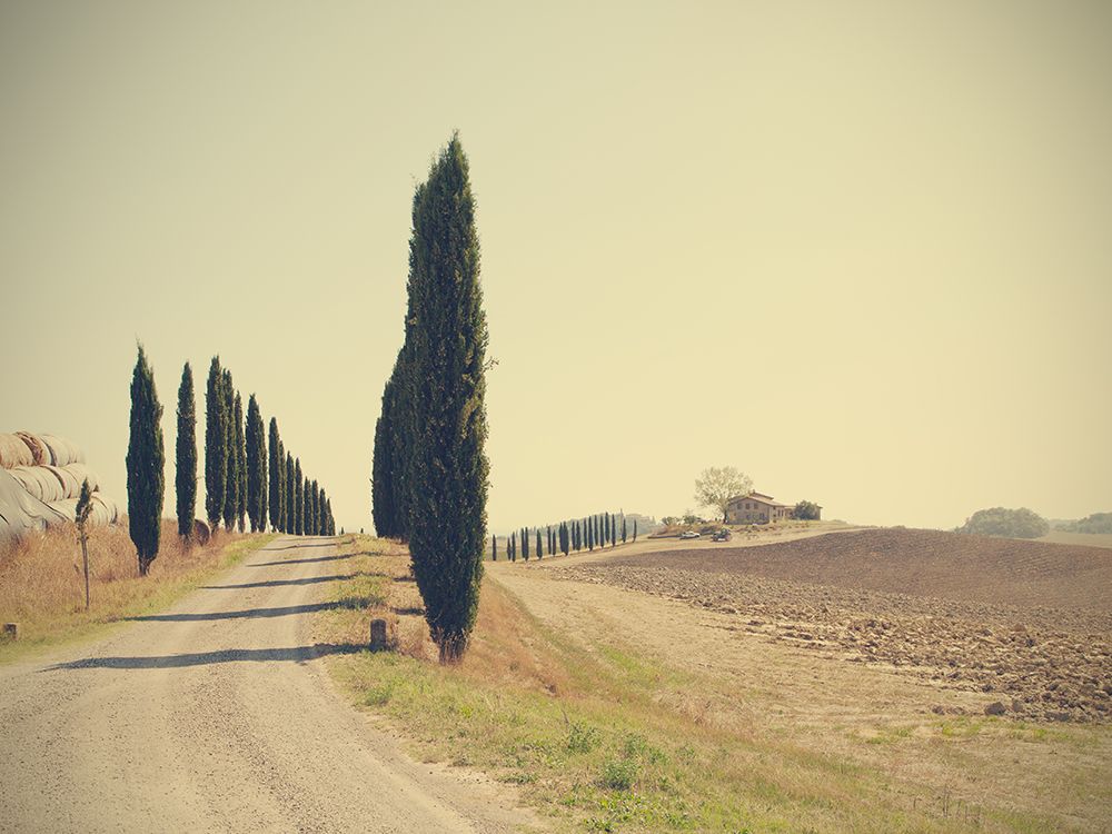 Tuscan Countryside art print by Massimo Della Latta for $57.95 CAD
