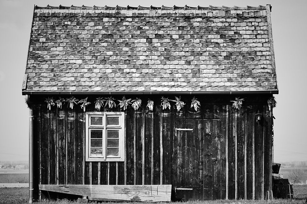 Old Shed art print by Steffen Ebert for $57.95 CAD