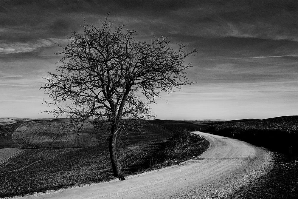 la valle art print by Luciano Caturegli for $57.95 CAD