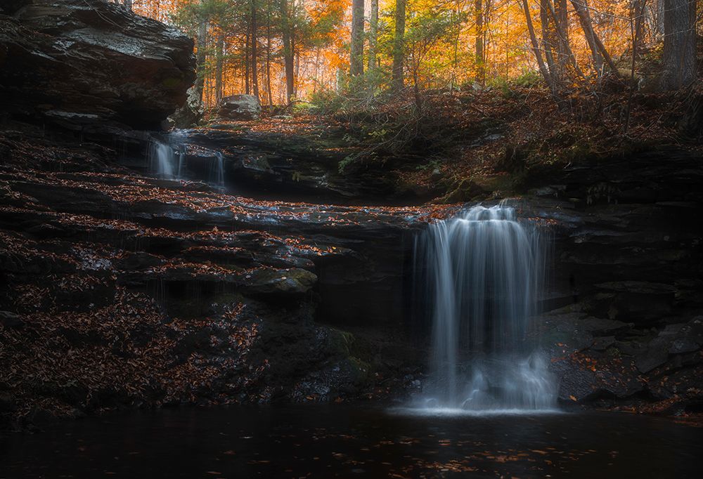 Autumn Flow art print by Binbin L. for $57.95 CAD