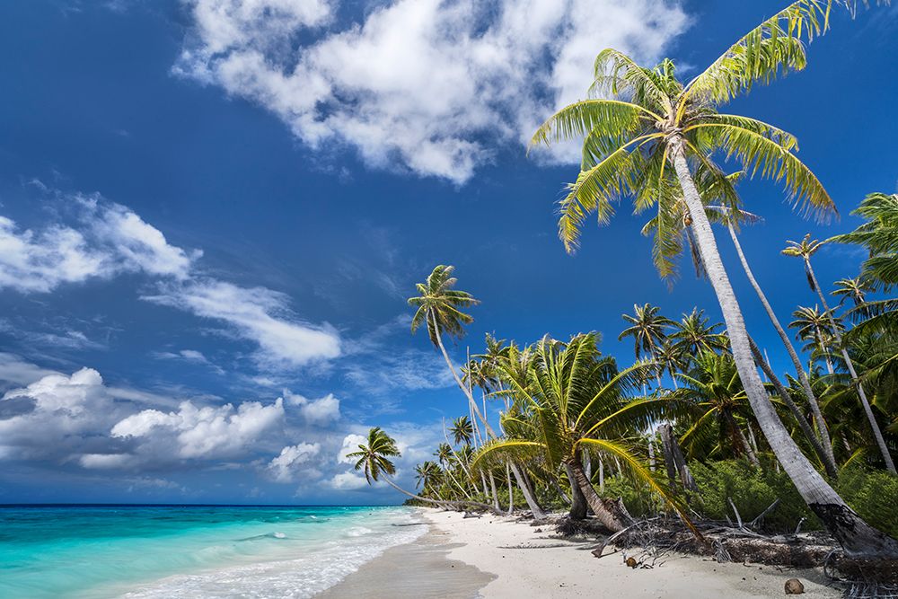 Desert Island art print by Karsten Wrobel for $57.95 CAD