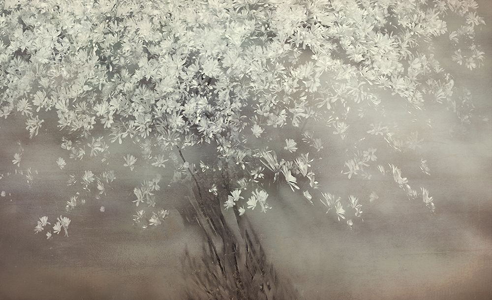 Stars Of Spring art print by Nel Talen for $57.95 CAD