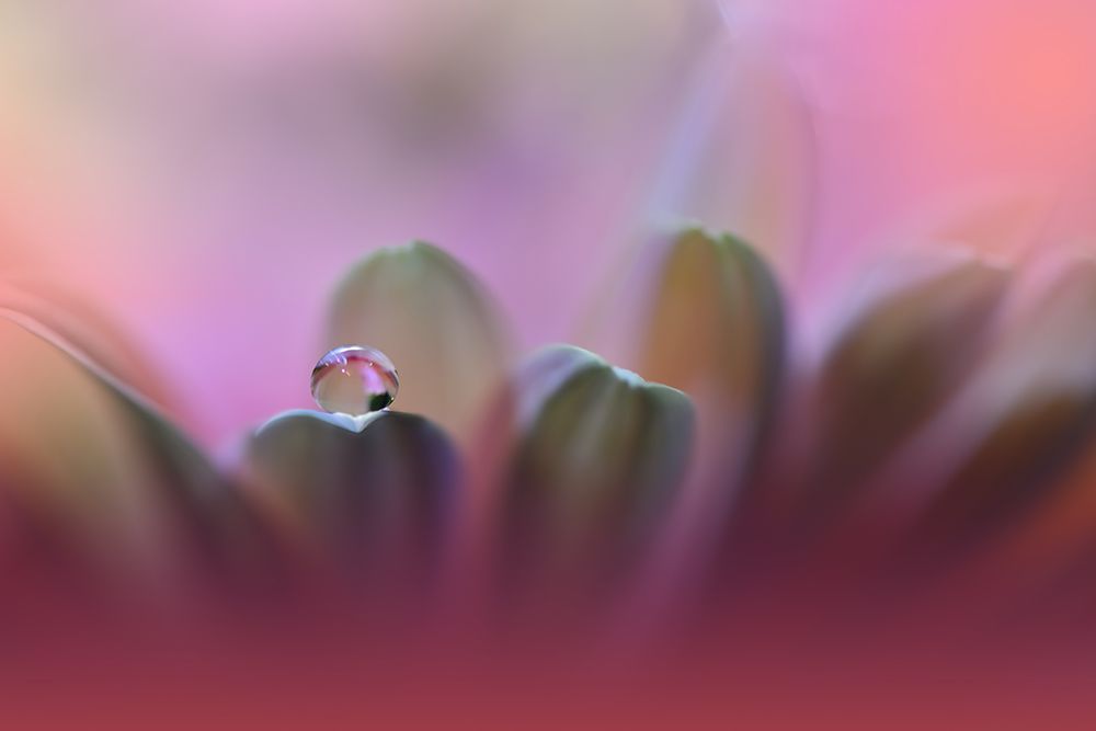 Untitled art print by Juliana Nan for $57.95 CAD