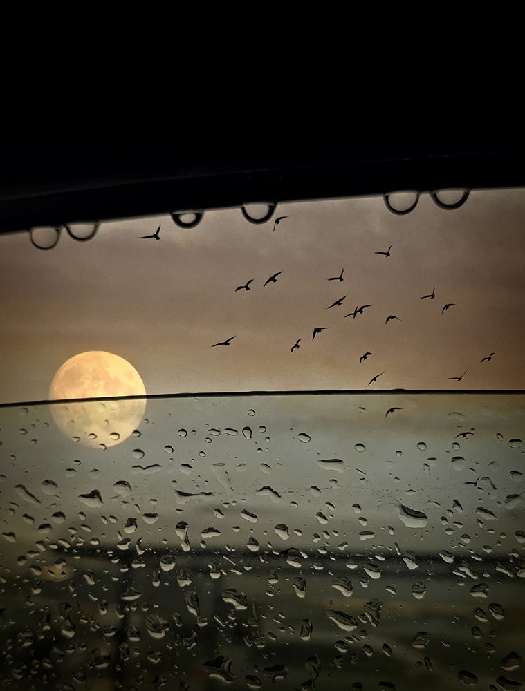 Rainy Evening art print by Robert Fabrowski for $57.95 CAD
