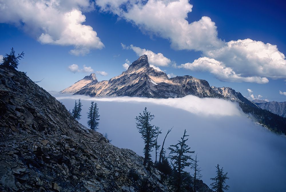 Tower Mountain art print by James K. Papp for $57.95 CAD