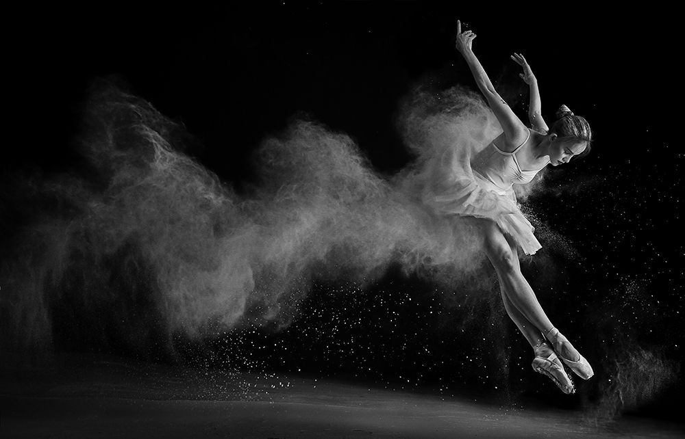 The White Swan art print by Sebastian Kisworo for $57.95 CAD