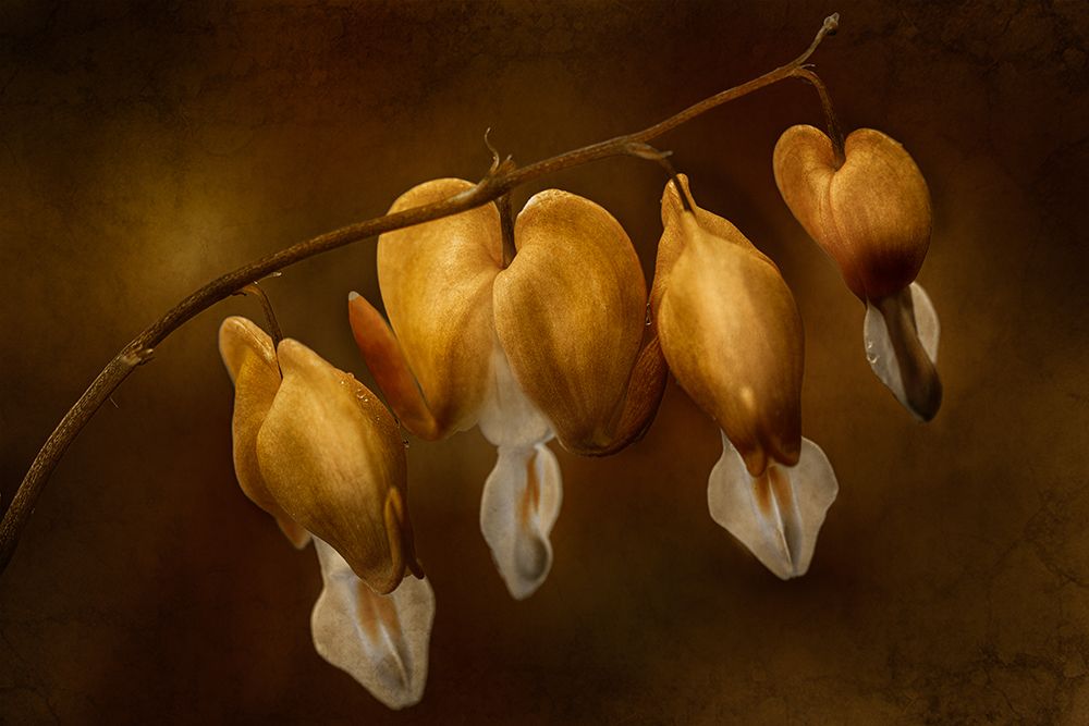 Glocken art print by Cicek Kiral for $57.95 CAD