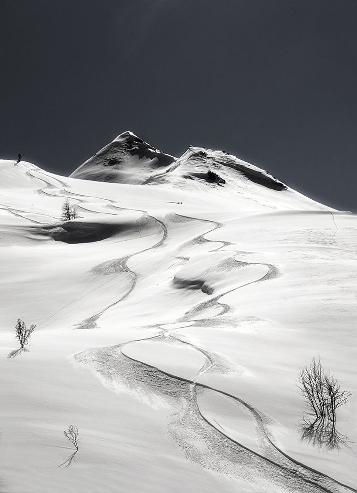 Freeride art print by Uschi Hermann for $57.95 CAD