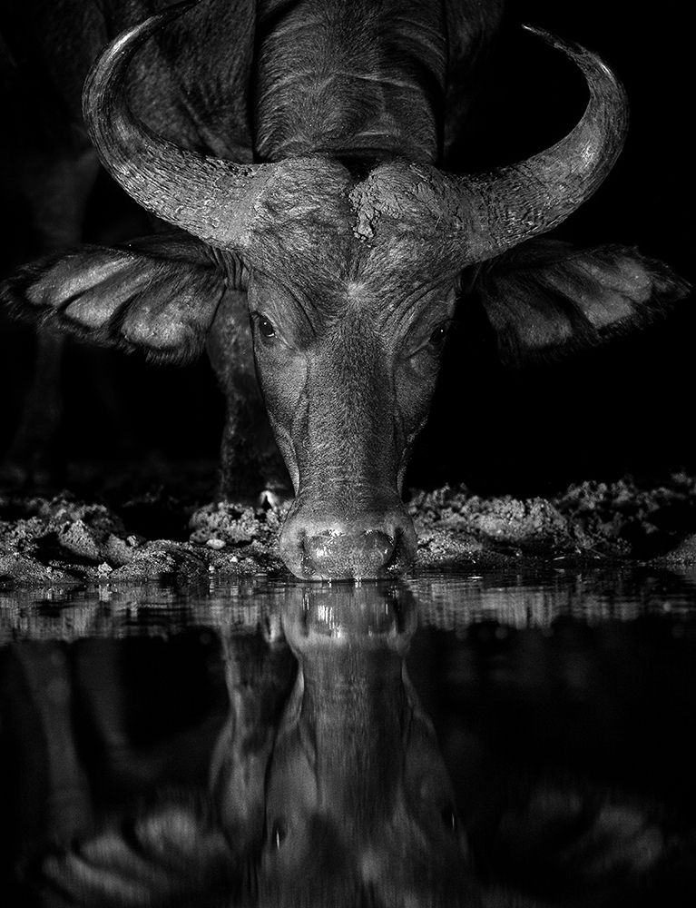 CONCENTRATION art print by Jaco Marx for $57.95 CAD