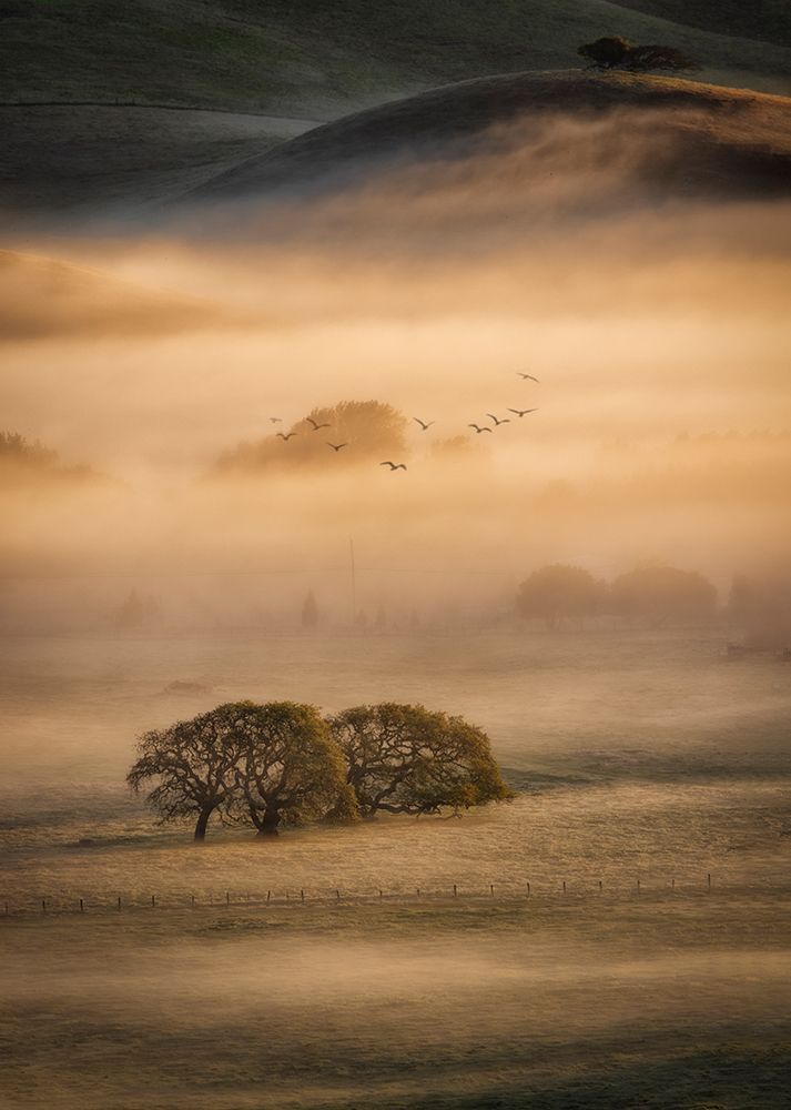 Morning Fog art print by Michael Zheng for $57.95 CAD