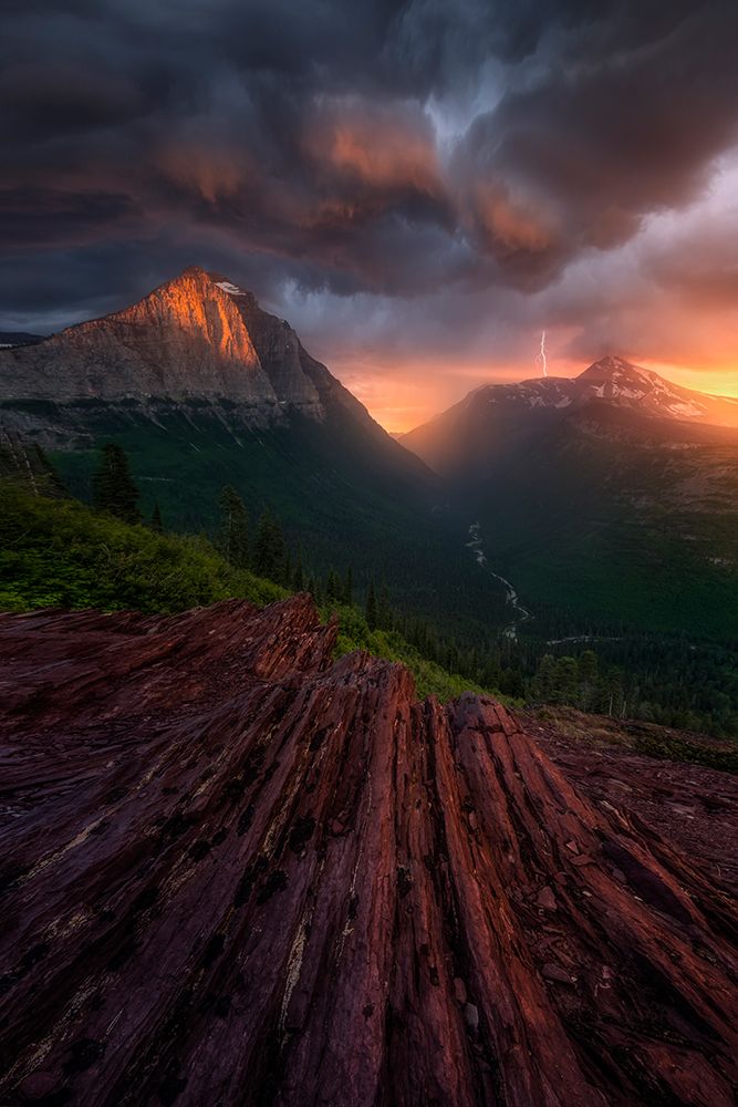 Dissolution art print by Ryan Dyar for $57.95 CAD