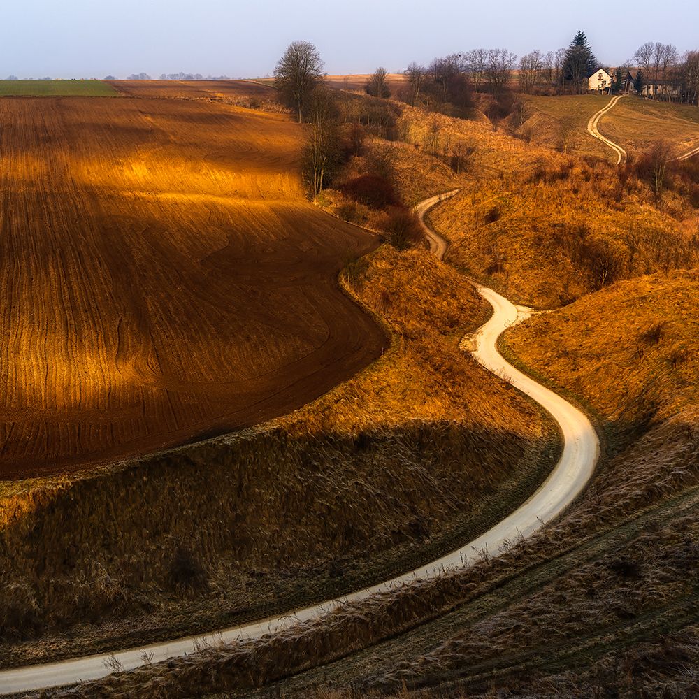 Way home art print by Slawomir Kowalczyk for $57.95 CAD