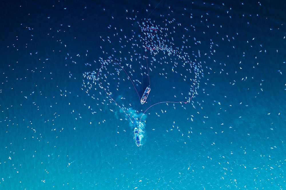 Fishing art print by Haitham AL Farsi for $57.95 CAD