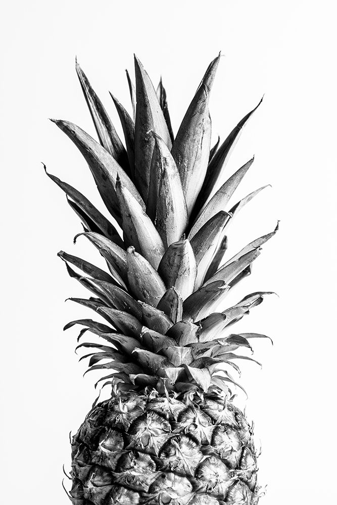 Pineapple Black A White 01 art print by 1x Studio III for $57.95 CAD