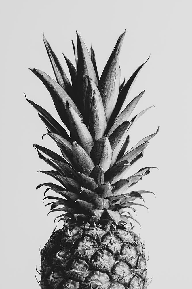 Pineapple Black A White 02 art print by 1x Studio III for $57.95 CAD