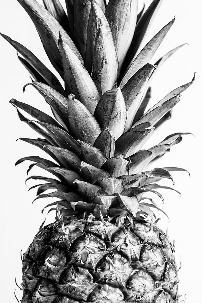 Pinapple Black a White 03 art print by 1x Studio III for $57.95 CAD