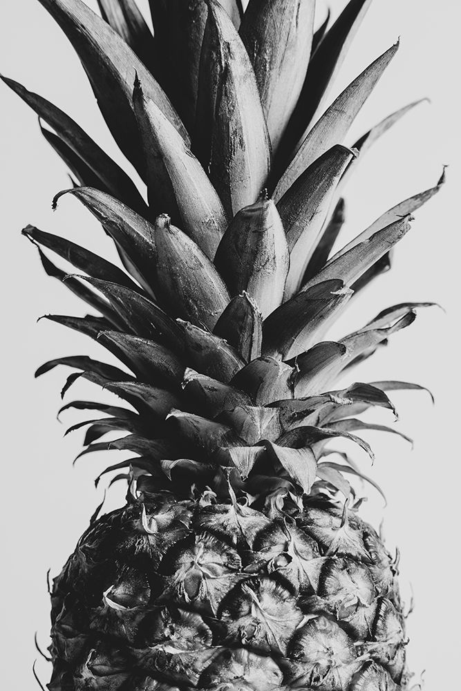 Pinapple Black a White 04 art print by 1x Studio III for $57.95 CAD