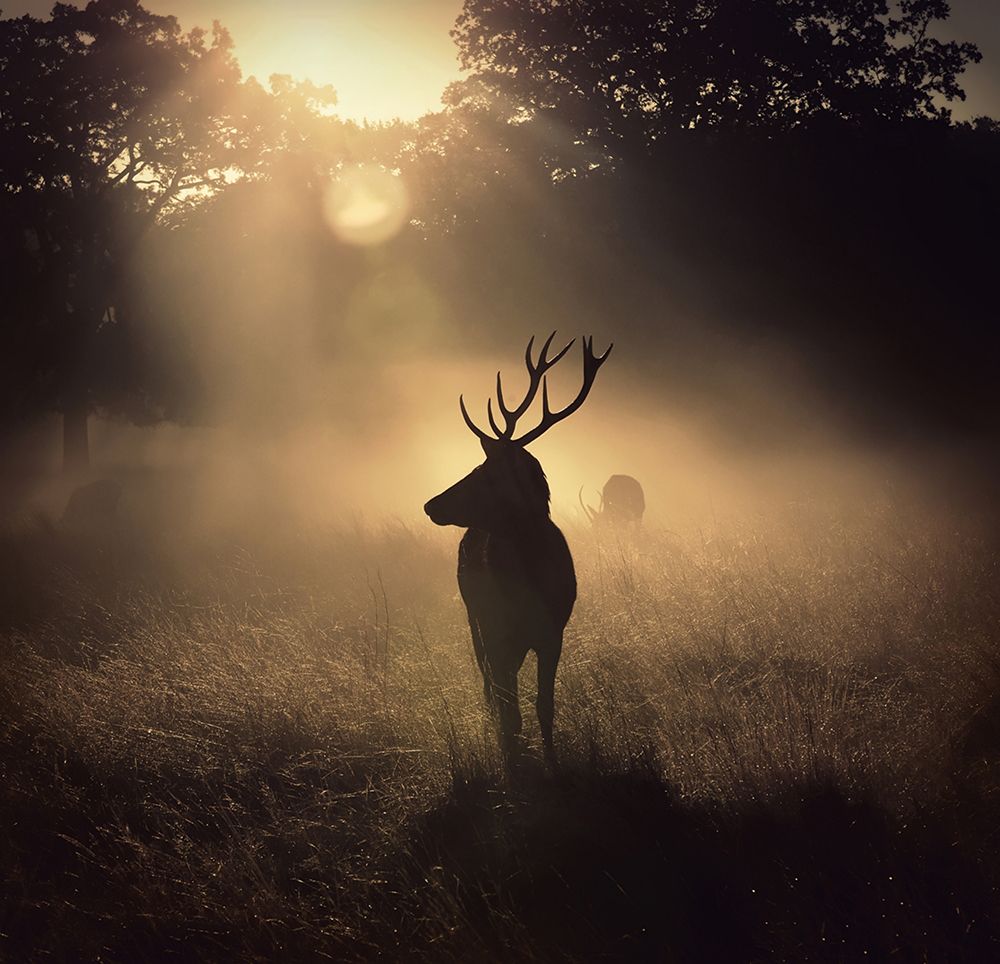 Light means everything art print by Robert Fabrowski for $57.95 CAD