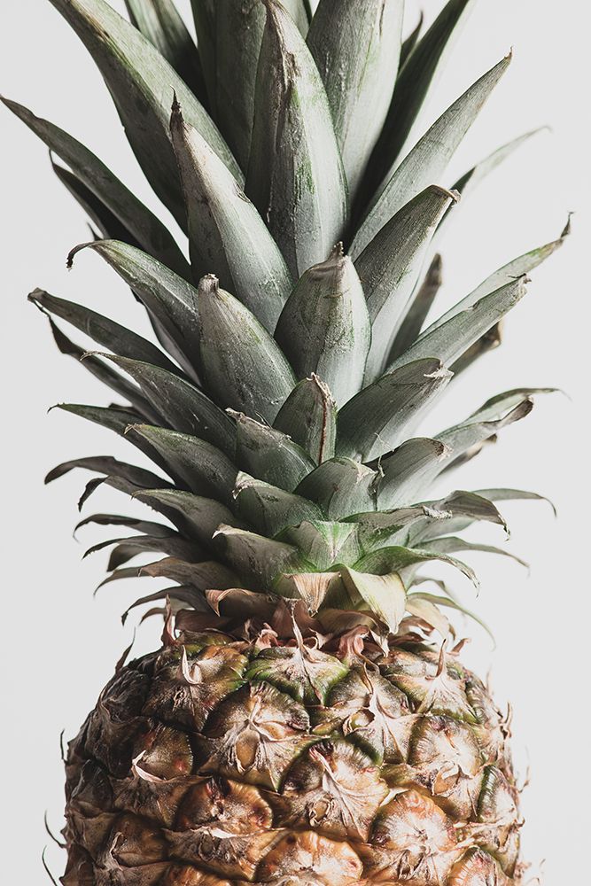 Pineapple Natural 03 art print by 1x Studio III for $57.95 CAD
