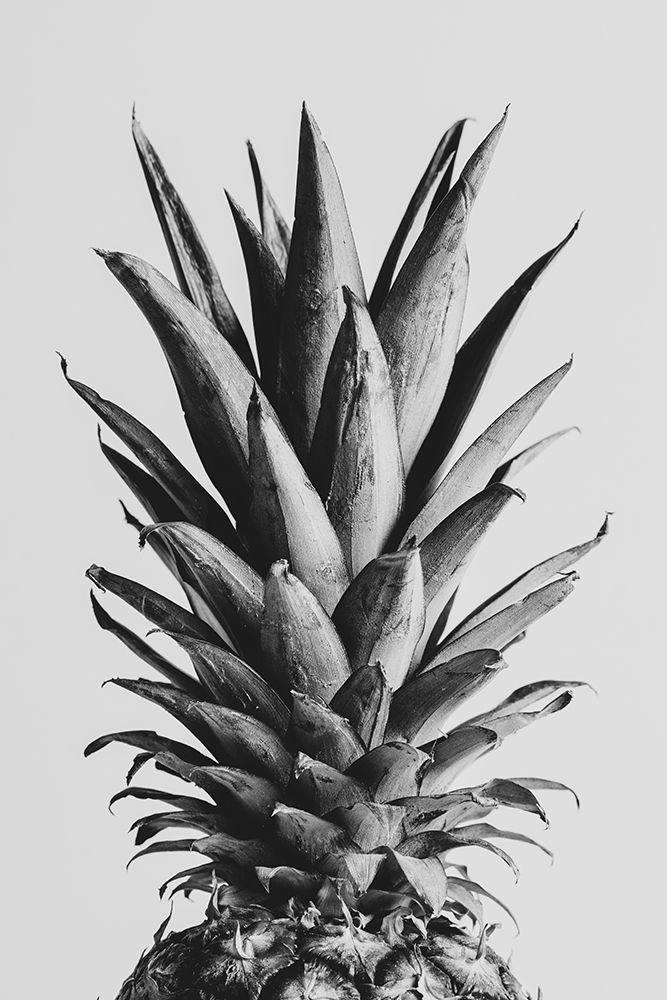 Pinapple Black a White 05 art print by 1x Studio III for $57.95 CAD
