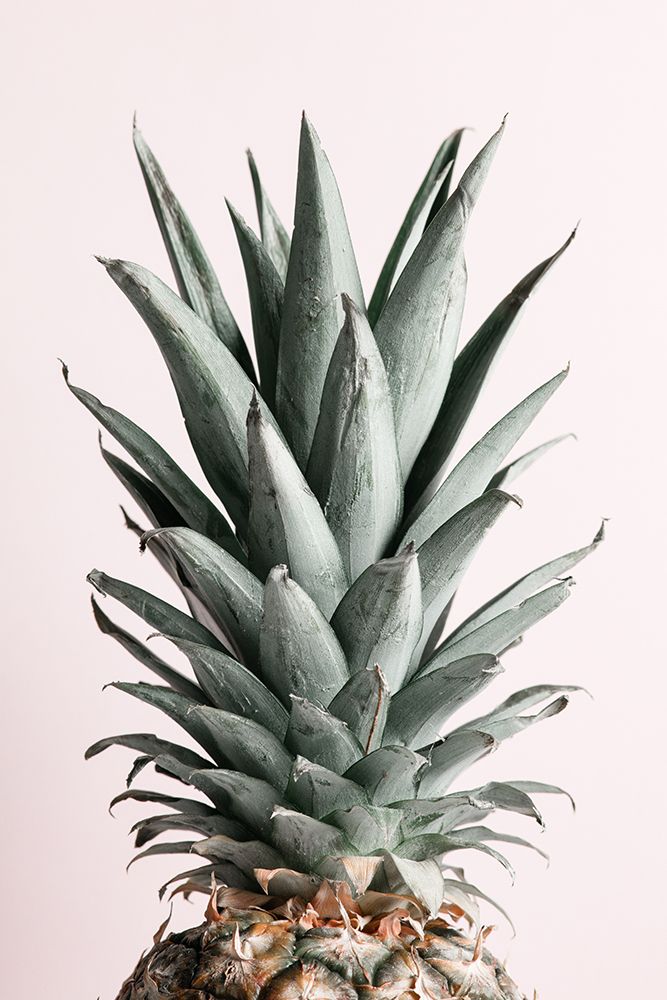Pineapple Natural Tint art print by 1x Studio III for $57.95 CAD