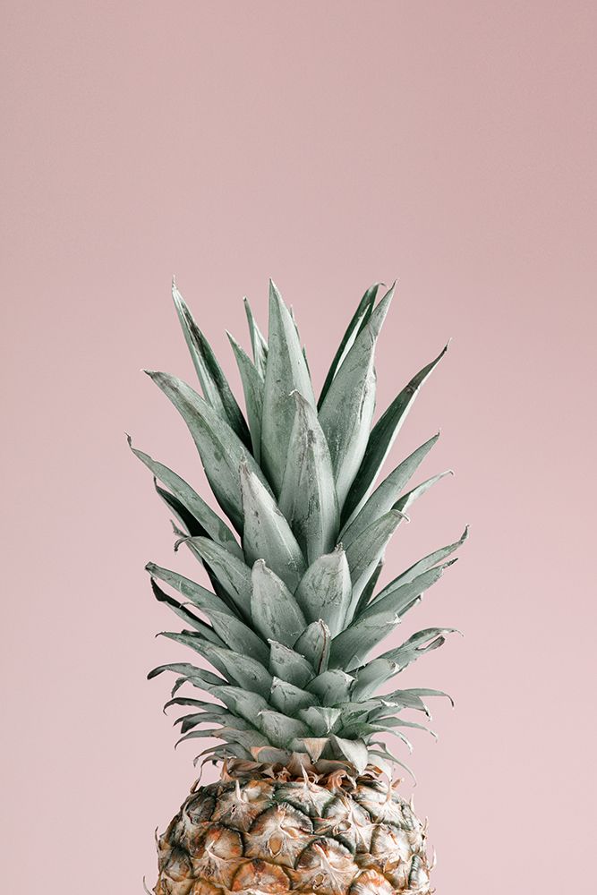 Pineapple Pink 01 art print by 1x Studio III for $57.95 CAD