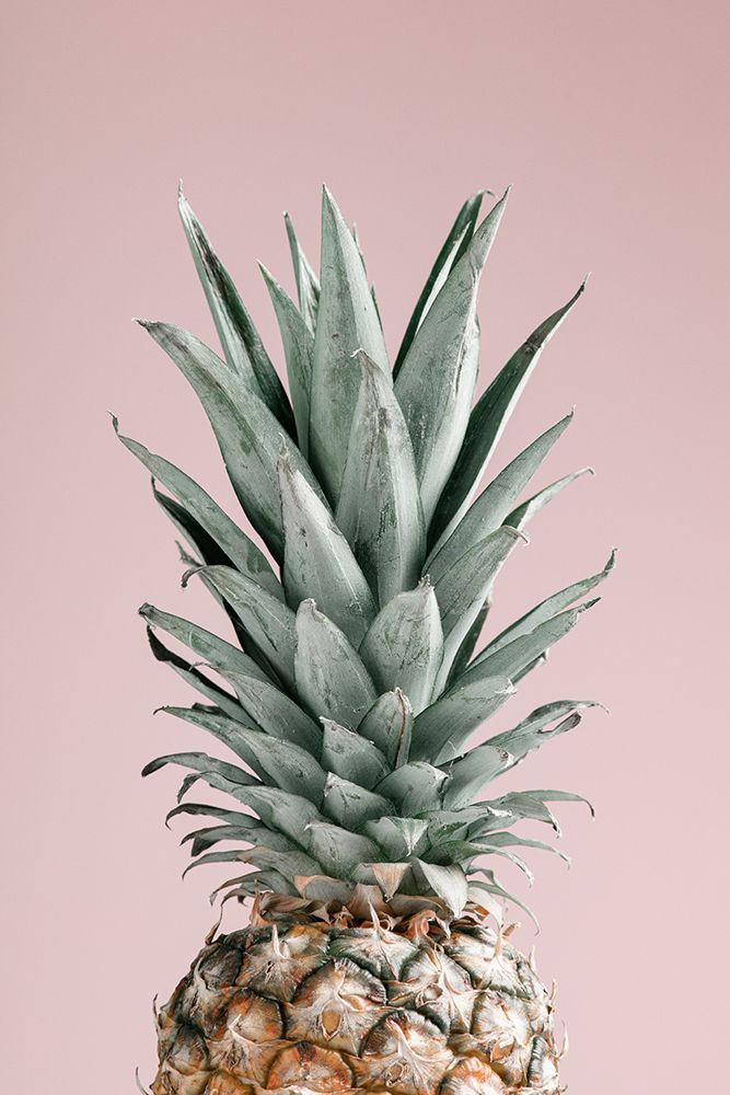 Pineapple Pink 02 art print by 1x Studio III for $57.95 CAD