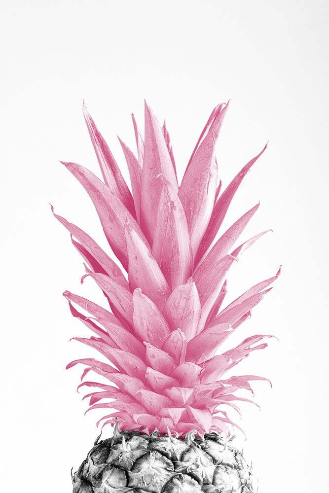 Pinapple Pink 03 art print by 1x Studio III for $57.95 CAD