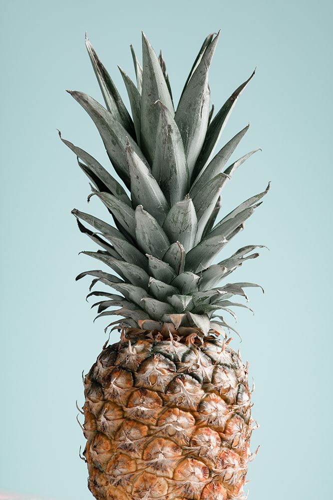 Pineapple Blue 01 art print by 1x Studio III for $57.95 CAD