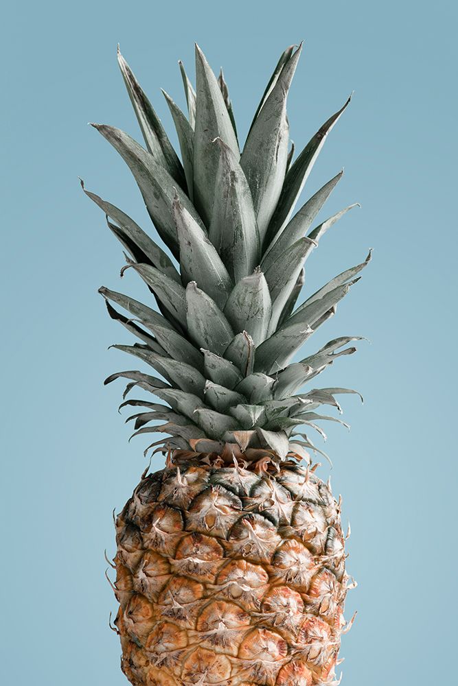 Pineapple Blue 02 art print by 1x Studio III for $57.95 CAD
