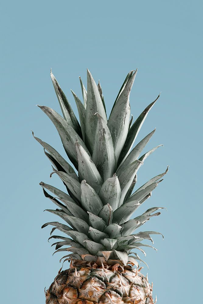 Pineapple Blue 04 art print by 1x Studio III for $57.95 CAD