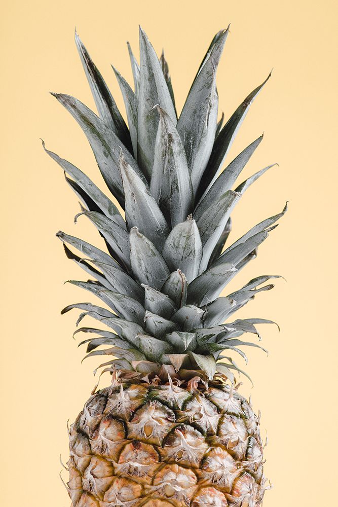 Pineapple Yellow 02 art print by 1x Studio III for $57.95 CAD