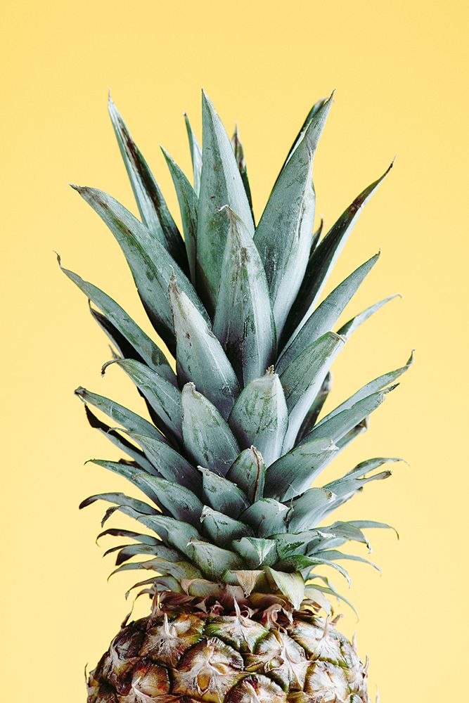 Pineapple Yellow 03 art print by 1x Studio III for $57.95 CAD