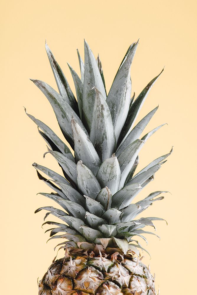 Pineapple Yellow 04 art print by 1x Studio III for $57.95 CAD