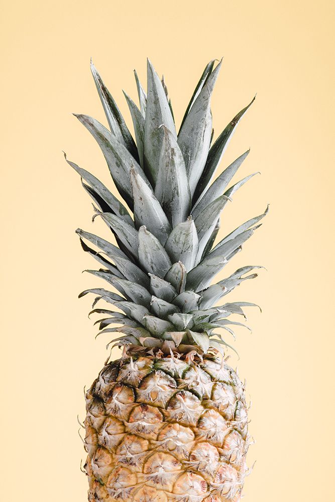 Pineapple Yellow 05 art print by 1x Studio III for $57.95 CAD