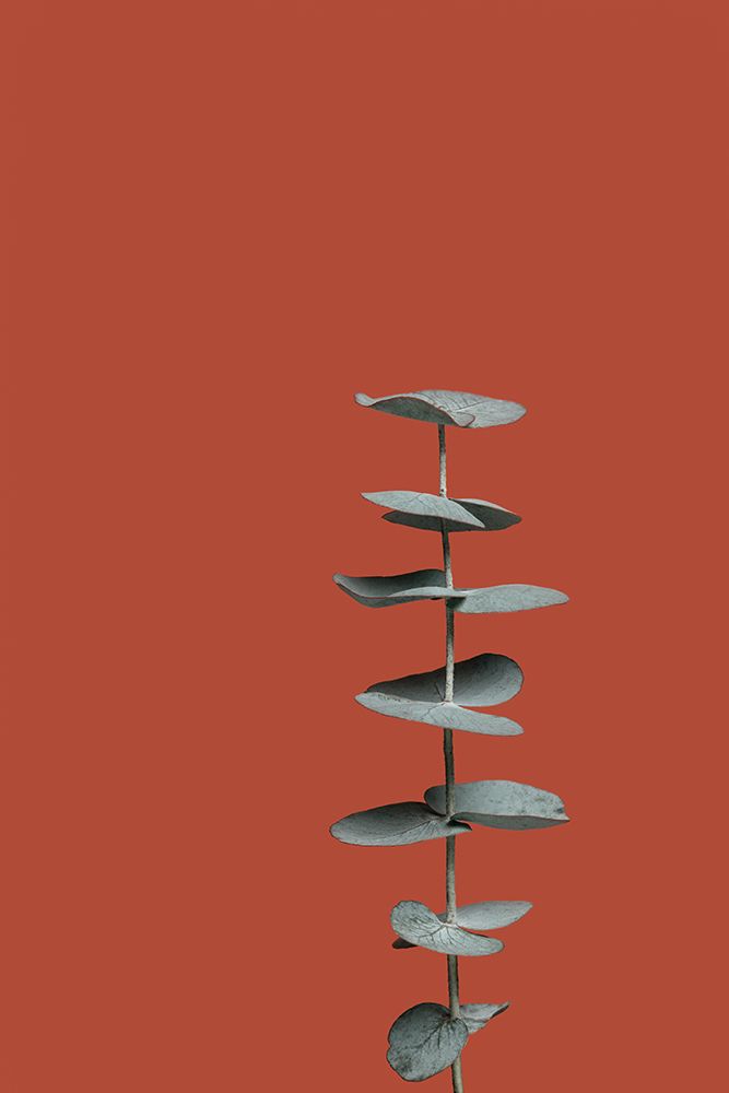 Eucalyptus Rust 01 art print by 1x Studio III for $57.95 CAD