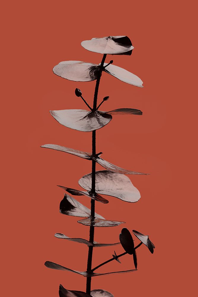 Eucalyptus Rust 02 art print by 1x Studio III for $57.95 CAD
