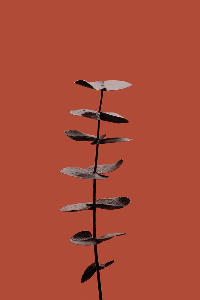 Eucalyptus Rust 04 art print by 1x Studio III for $57.95 CAD