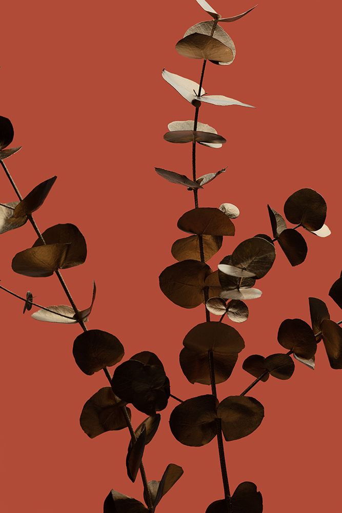 Eucalyptus Gold Rust 01 art print by 1x Studio III for $57.95 CAD