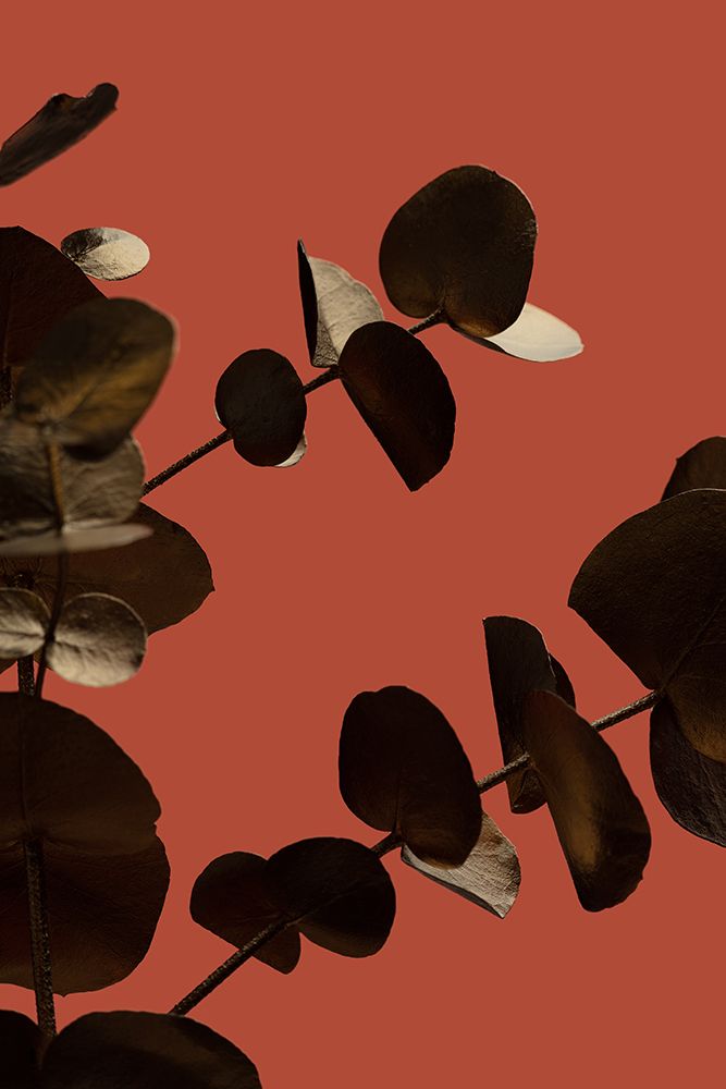 Eucalyptus Gold Rust 02 art print by 1x Studio III for $57.95 CAD