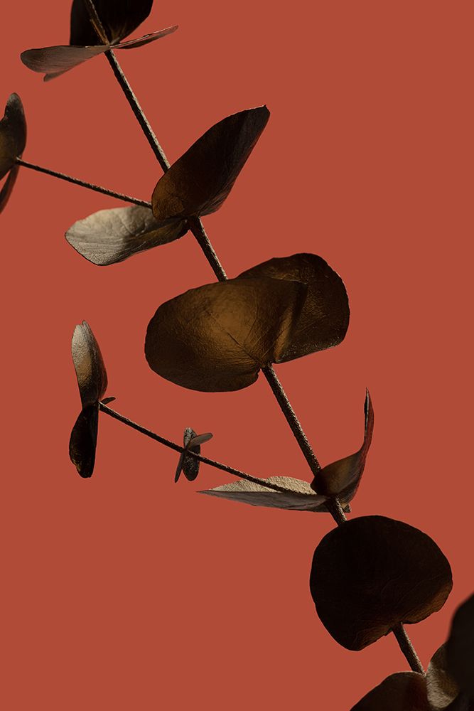 Eucalyptus Gold Rust 03 art print by 1x Studio III for $57.95 CAD