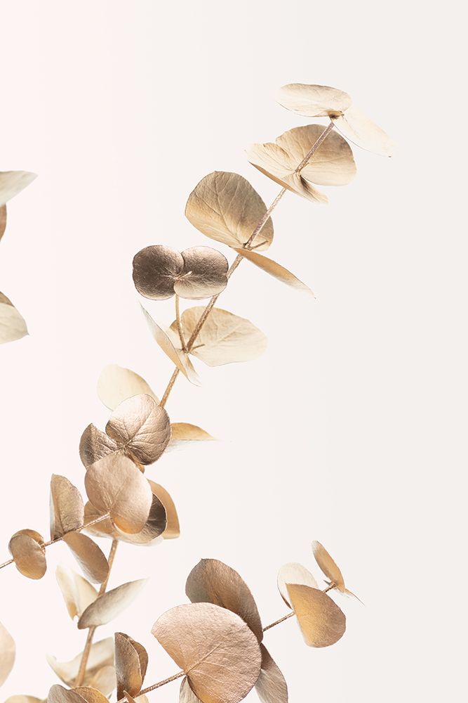 Eucalyptus Gold No 03 art print by 1x Studio III for $57.95 CAD