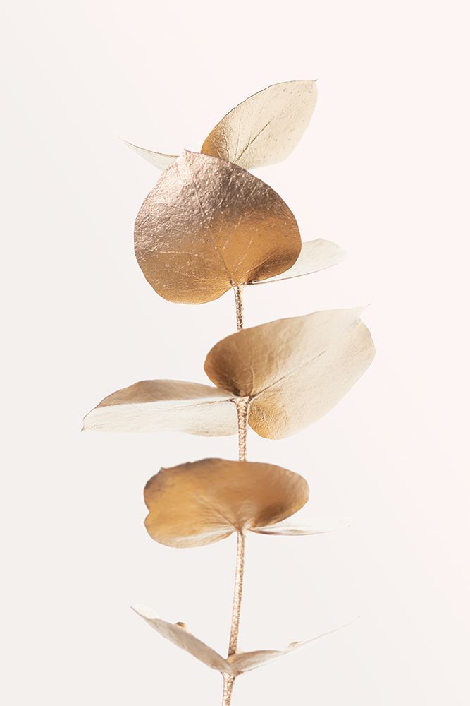 Eucalyptus Gold No 06 art print by 1x Studio III for $57.95 CAD
