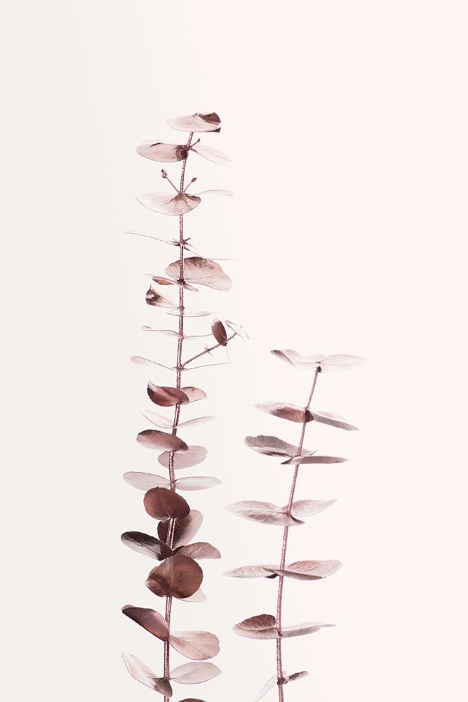 Eucalyptus Copper No 02 art print by 1x Studio III for $57.95 CAD